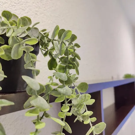 Stilvolles In Zwischen Flughafen, Messe, Porsche Und Bmw *